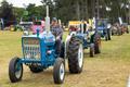 Malton Show 2024